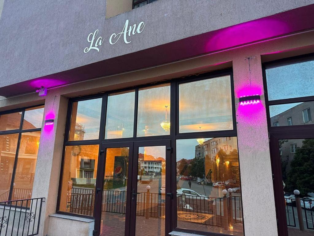 Hotel La Ane Babadag Extérieur photo